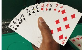How many cards are dealt in Indian rummy?