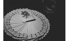 Want to experience the thrill of rummy game