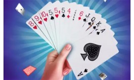 What is the best rummy game on the app store?