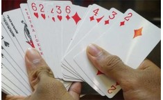What is the most popular rummy game?